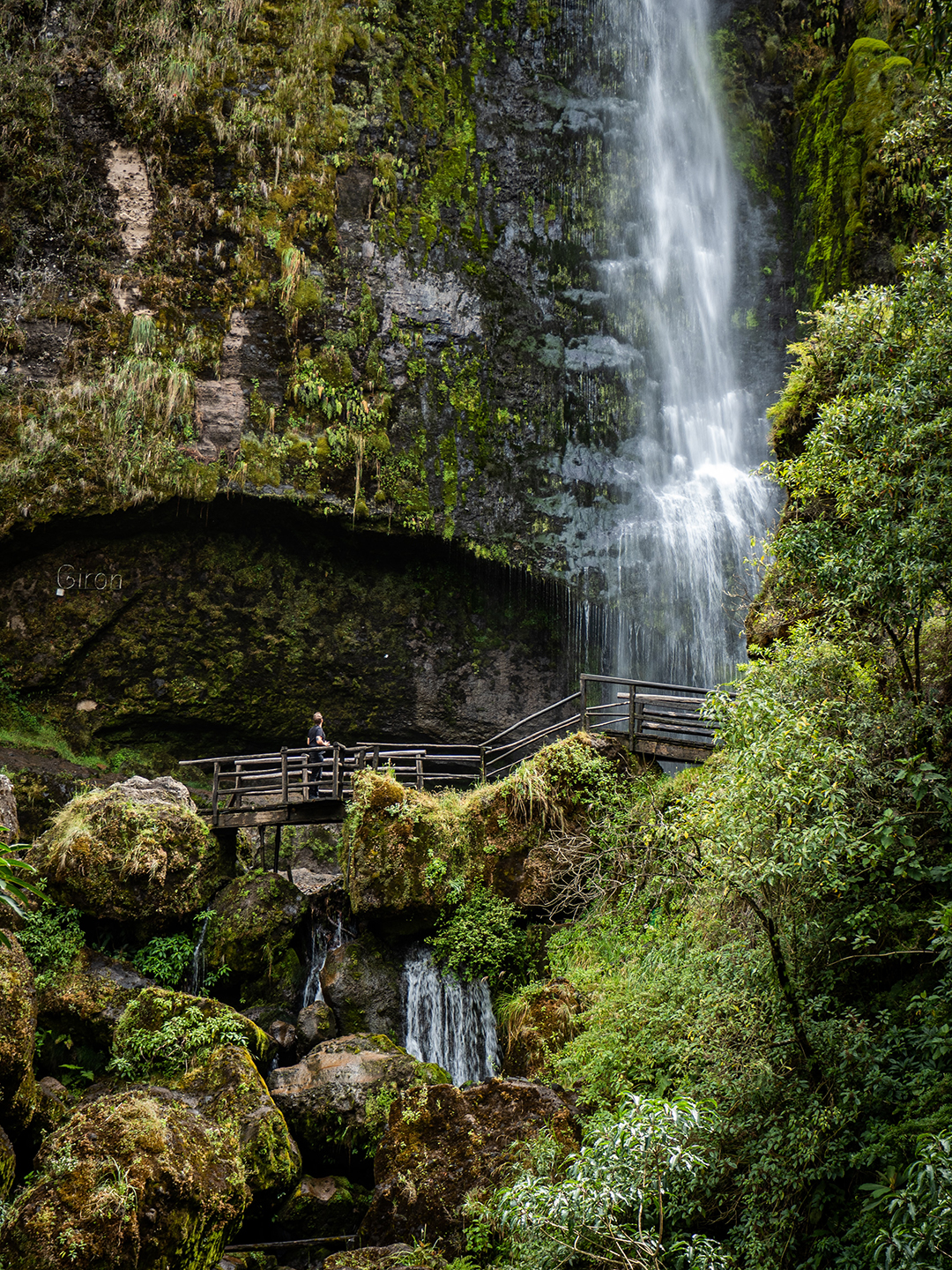 Popotniški nasveti za Ekvador - Travel tips for Ecuador - Photo by David Torres on Unsplash.jpg